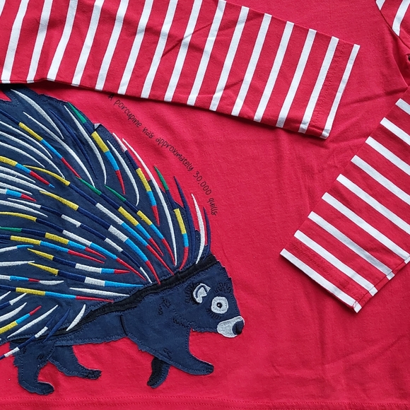 2021 nwt Mini Boden porcupine tee 11-12 years - Picture 9 of 14